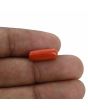 Red Coral (Moonga) - 4.47 Carat 