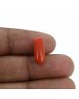 Red Coral (Moonga) - 4.47 Carat 