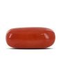 Red Coral (Moonga) - 4.16 Carat 