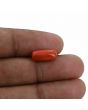 Red Coral (Moonga) - 4.16 Carat 