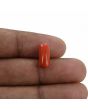 Red Coral (Moonga) - 4.16 Carat 