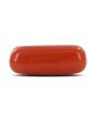 Red Coral (Moonga) - 3.98 Carat 