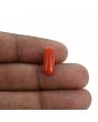 Red Coral (Moonga) - 3.98 Carat 