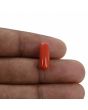 Red Coral (Moonga) - 4.26 Carat 