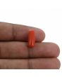 Red Coral (Moonga) - 4.22 Carat 