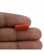 Red Coral (Moonga) - 4.22 Carat 