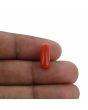 Red Coral (Moonga) - 4.48 Carat 
