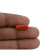 Red Coral (Moonga) - 4.48 Carat 