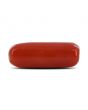 Red Coral (Moonga) - 4.23 Carat 