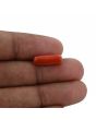 Red Coral (Moonga) - 4.23 Carat 