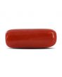 Red Coral (Moonga) - 4.18 Carat 
