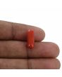 Red Coral (Moonga) - 4.18 Carat 