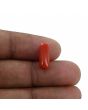 Red Coral (Moonga) - 3.87 Carat 