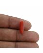 Red Coral (Moonga) - 4.35 Carat 