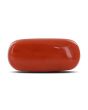 Red Coral (Moonga) - 3.88 Carat 