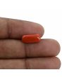 Red Coral (Moonga) - 3.88 Carat 