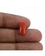 Red Coral (Moonga) - 3.88 Carat 