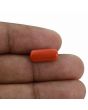 Red Coral (Moonga) - 3.88 Carat 