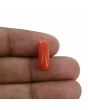 Red Coral (Moonga) - 4.07 Carat 