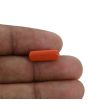 Red Coral (Moonga) - 4.07 Carat 