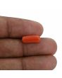 Red Coral (Moonga) - 3.83 Carat 