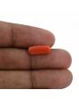 Red Coral (Moonga) - 3.83 Carat 