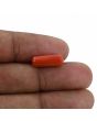Red Coral (Moonga) - 4.33 Carat 