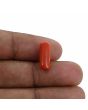 Red Coral (Moonga) - 4.33 Carat 