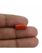 Red Coral (Moonga) - 4.34 Carat 