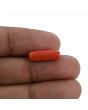 Red Coral (Moonga) - 4.34 Carat 