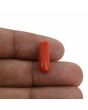 Red Coral (Moonga) - 4.34 Carat 