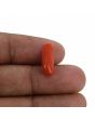 Red Coral (Moonga) - 4.33 Carat 