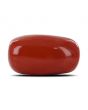 Red Coral (Moonga) - 18.61 Carat 