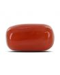 Red Coral (Moonga) - 15.38 Carat 