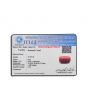 Red Coral (Moonga) - 15.38 Carat 
