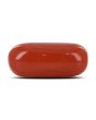 Red Coral (Moonga) - 11.93 Carat 