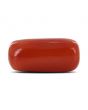 Red Coral (Moonga) - 13.16 Carat 