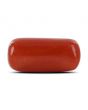 Red Coral (Moonga) - 13.16 Carat 