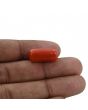 Red Coral (Moonga) - 13.16 Carat 