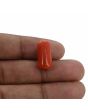 Red Coral (Moonga) - 11.87 Carat