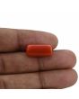 Red Coral (Moonga) - 11.87 Carat