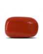 Red Coral (Moonga) - 12.49 Carat 