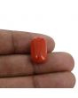 Red Coral (Moonga) - 12.49 Carat 