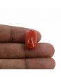 Red Coral (Moonga) - 14.77 Carat 