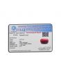 Red Coral (Moonga) - 14.77 Carat 