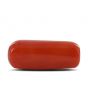 Red Coral (Moonga) - 12.61 Carat 