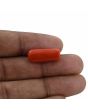 Red Coral (Moonga) - 12.61 Carat 