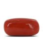 Red Coral (Moonga) - 10.32 Carat 