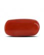 Red Coral (Moonga) - 10.32 Carat 
