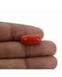 Red Coral (Moonga) - 10.32 Carat 